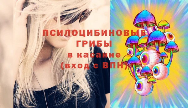 индика Белоозёрский