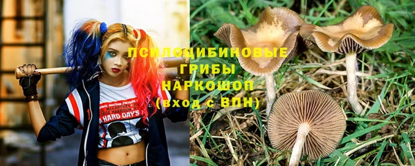 индика Белоозёрский