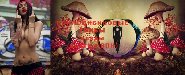 прущий лед Беломорск