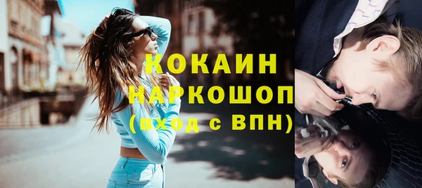 индика Белоозёрский